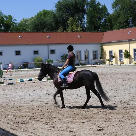 Wellness A Relax Centrum 3* Palarikovo